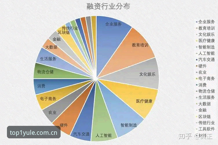 资深用户分享：第一娱乐使用教程官方下载的实战经验与行业趋势洞察